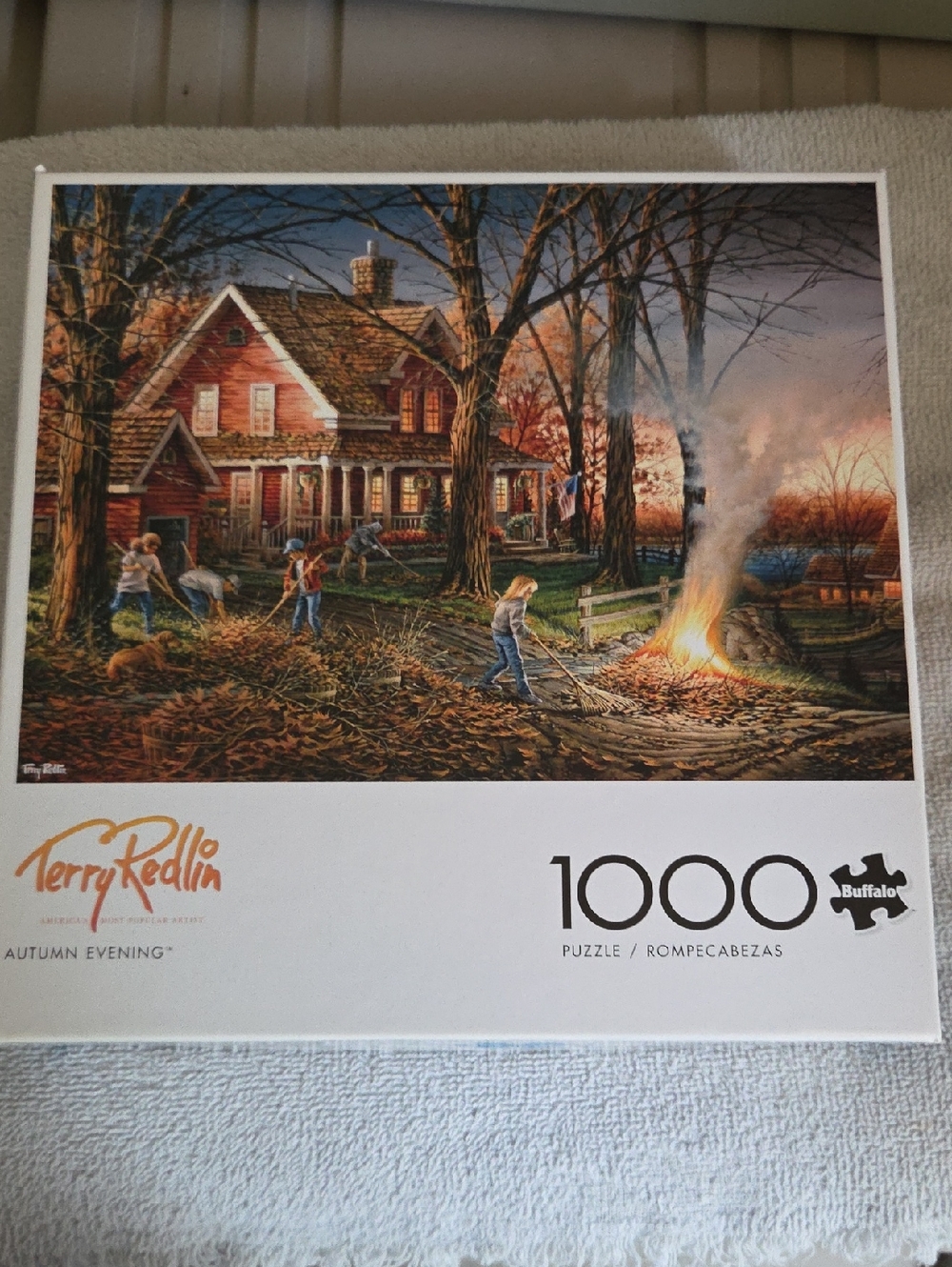Puzzle 1000 Piece